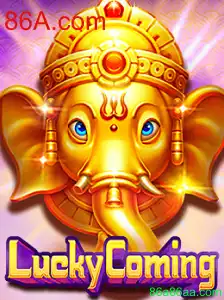 Explorando o Fascinante Mundo de LuckyComing: Um Guia Completo